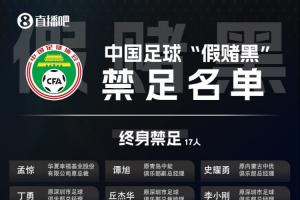 足坛假赌黑第三批处罚名单：丁勇、曹阳、陈俊吉等17人终身禁足！